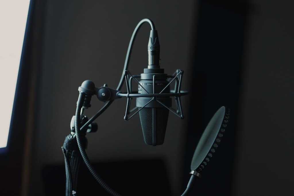 Ein Neumann TLM 103 Mikrofon für Sprachaufnahmen und Foley Recordings.