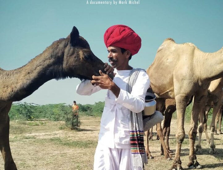 Plakatmotiv des Kinodokumentarfilms ‚Herders – Guardians of the Earth‘, Tonpostproduktion im Soundscape Studio Leipzig